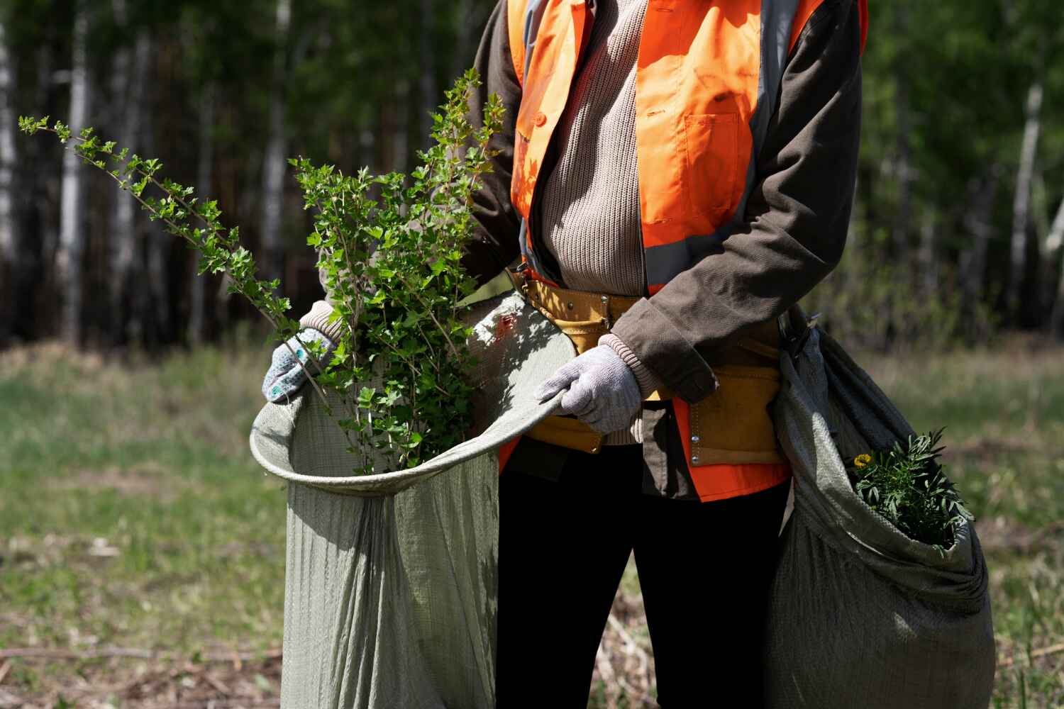 Swartzville, PA Tree Service Company